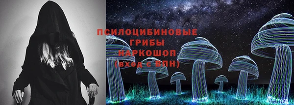 соль ск Алексеевка