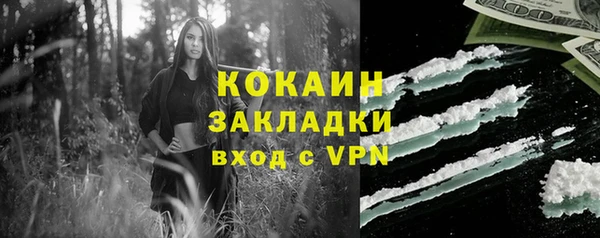 гашик Алзамай