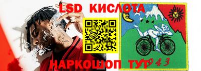 эйфоретик Гатчина