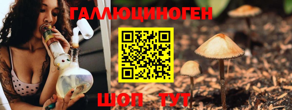 Ставрополь  Псилоцибиновые грибы прущие грибы  Вход с VPN 